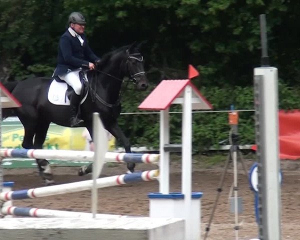Reitturnier Krefeld-Hüls 2015