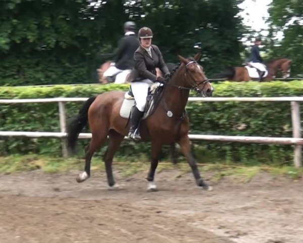 Reitturnier Krefeld-Hüls 2015