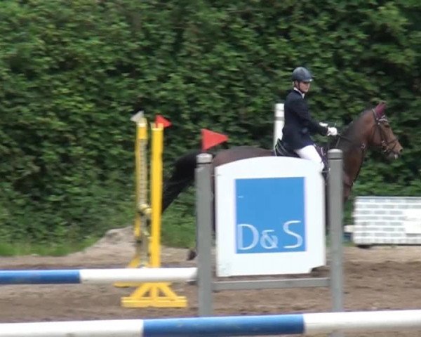 Reitturnier Krefeld-Hüls 2015
