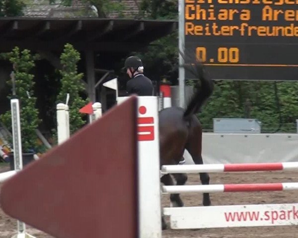 Reitturnier Krefeld-Hüls 2015