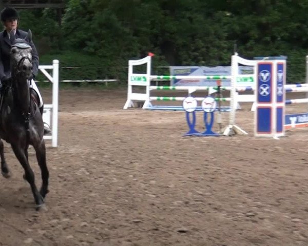 Reitturnier Krefeld-Hüls 2015