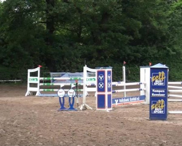 Reitturnier Krefeld-Hüls 2015