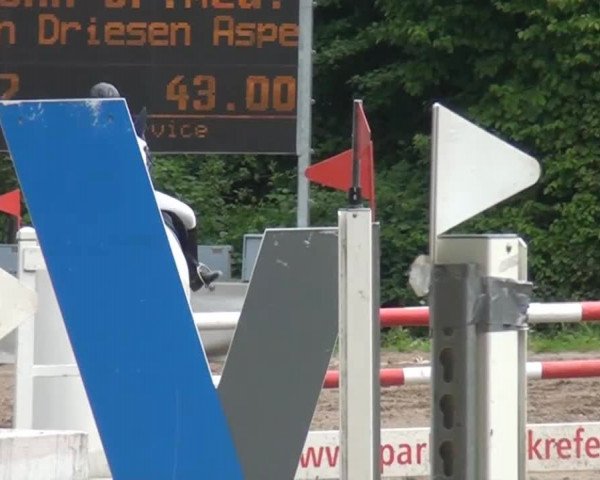 Reitturnier Krefeld-Hüls 2015
