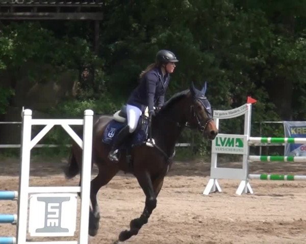 Reitturnier Krefeld-Hüls 2015