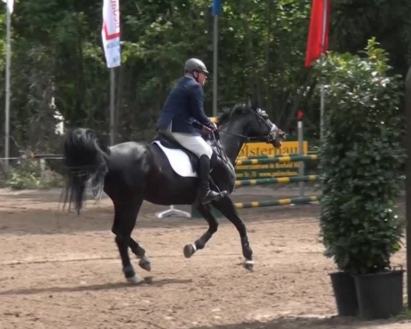Reitturnier Krefeld-Hüls 2015