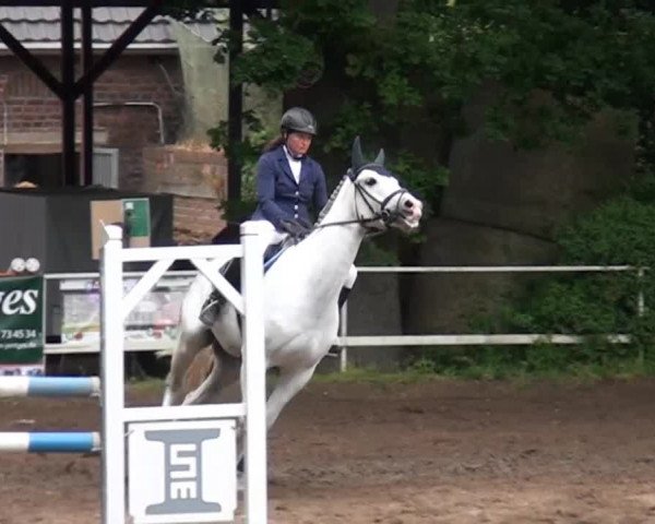 Reitturnier Krefeld-Hüls 2015