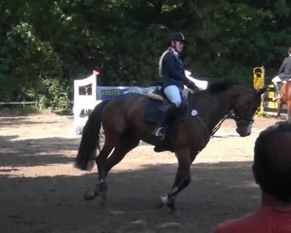 Reitturnier Krefeld-Hüls 2015