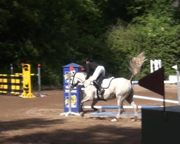 Reitturnier Krefeld-Hüls 2015