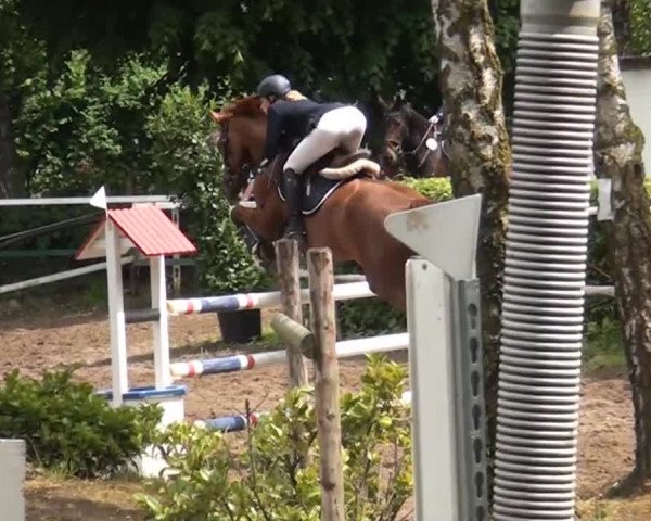 Reitturnier Krefeld-Hüls 2015