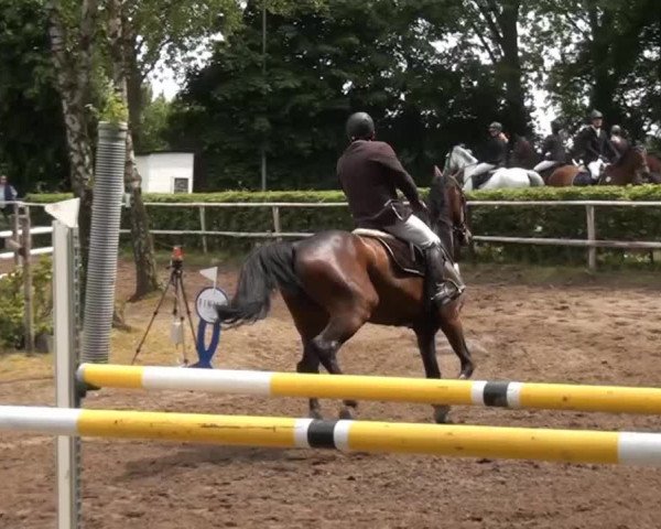 Reitturnier Krefeld-Hüls 2015