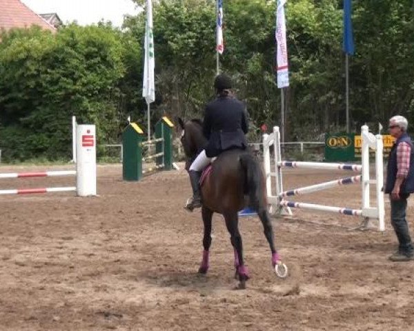 Reitturnier Krefeld-Hüls 2015