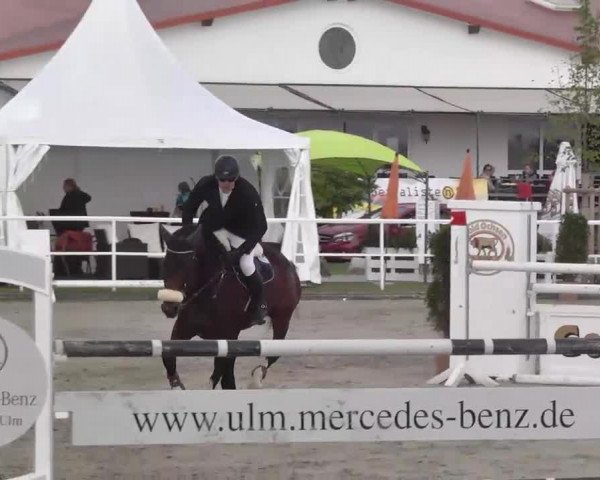 Großes Langenauer Reitturnier 2015