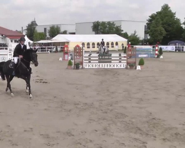 Großes Langenauer Reitturnier 2015