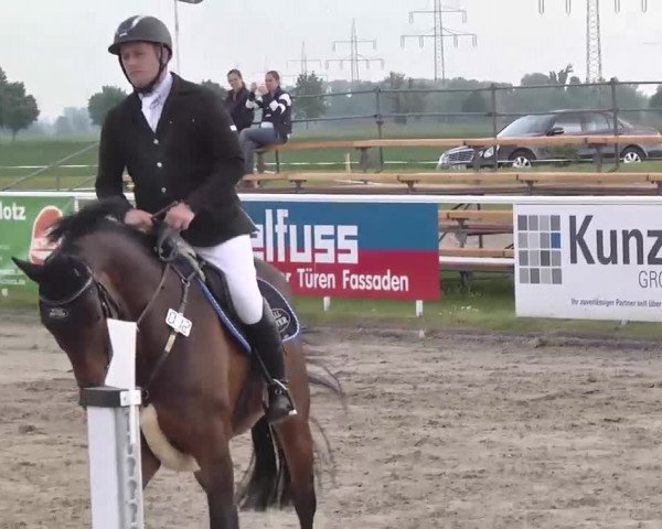 Großes Langenauer Reitturnier 2015