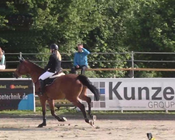 Großes Langenauer Reitturnier 2015