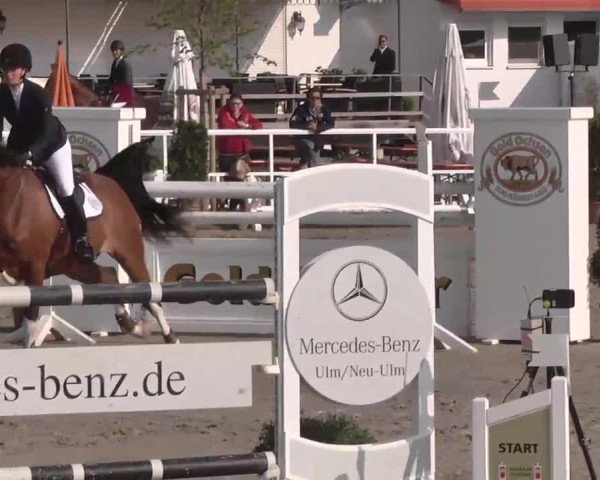 Großes Langenauer Reitturnier 2015