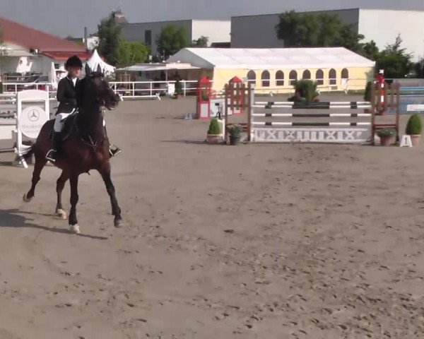 Großes Langenauer Reitturnier 2015