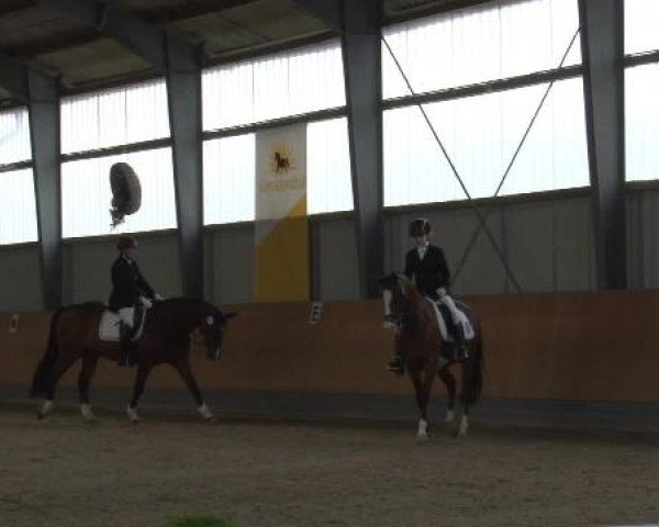 Frechen-Grefrath 2015