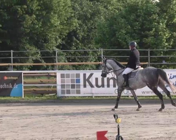 Großes Langenauer Reitturnier 2015