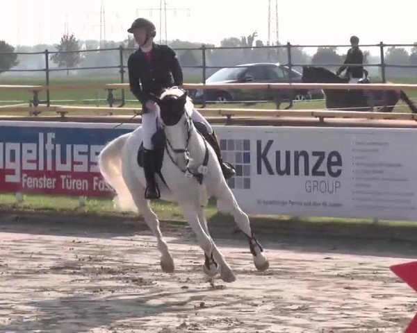 Großes Langenauer Reitturnier 2015