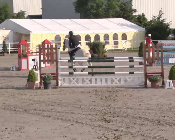 Großes Langenauer Reitturnier 2015