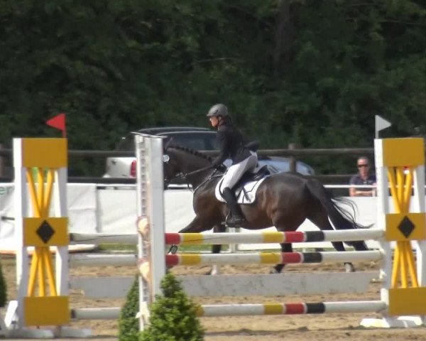 Frechen-Grefrath 2015