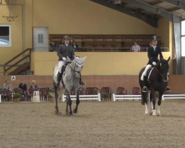 Frechen-Grefrath 2015