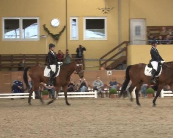 Frechen-Grefrath 2015