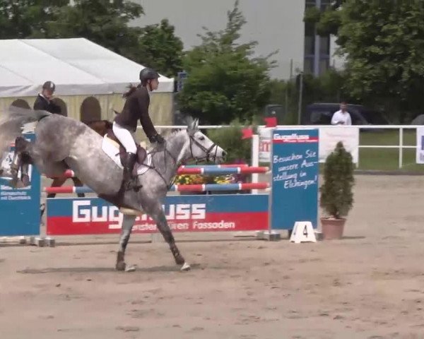 Großes Langenauer Reitturnier 2015