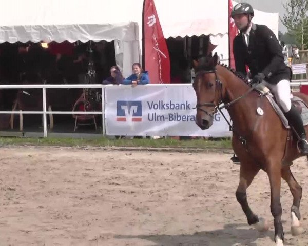 Großes Langenauer Reitturnier 2015