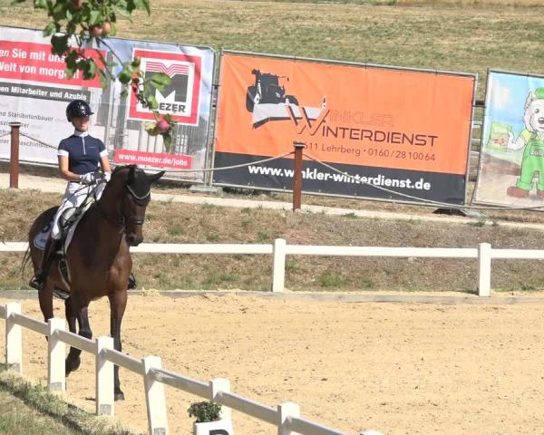 Concorso ippico Brünst/Mfr. 2026