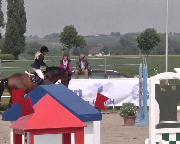 Großes Langenauer Reitturnier 2015