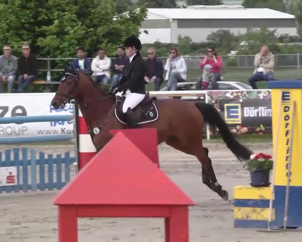 Großes Langenauer Reitturnier 2015