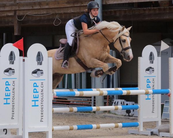 Springpferd Caspian (Pony ohne Rassebezeichnung, 2010, von Top Champy)
