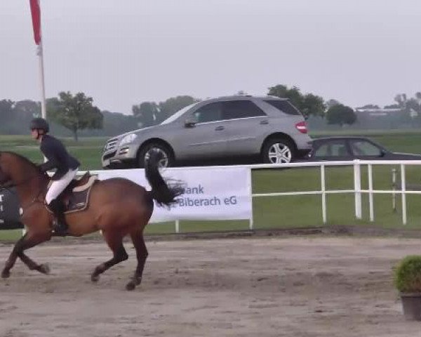 Großes Langenauer Reitturnier 2015