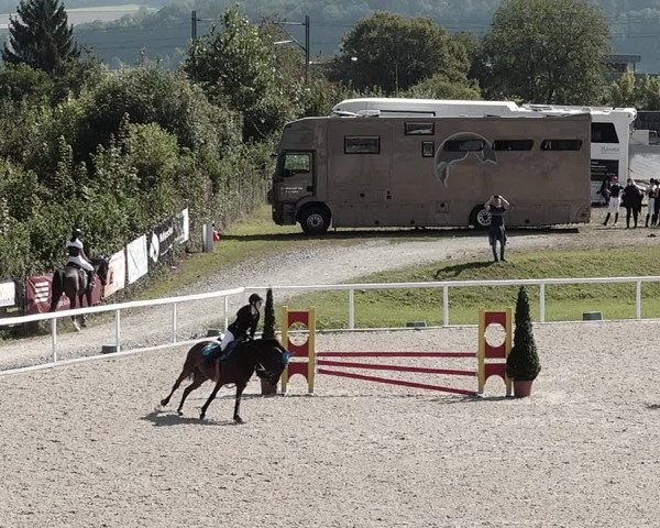 Pferdesporttage Bülach 2021