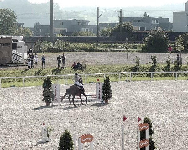 Pferdesporttage Bülach 2021