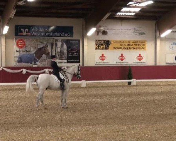 Pfingst - Dressur und Springturnier Borken 2015
