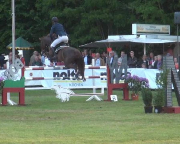 Pfingst - Dressur und Springturnier Borken 2015
