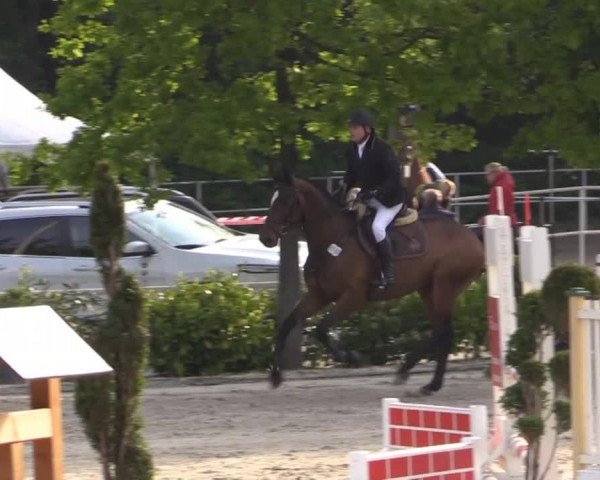 Pfingstturnier Bochum-Nord 2015