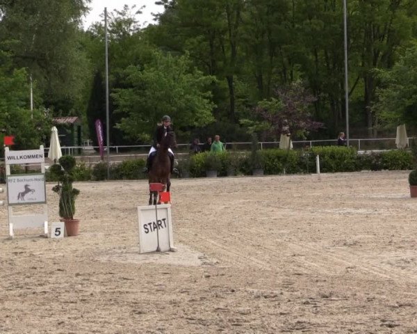 Pfingstturnier Bochum-Nord 2015