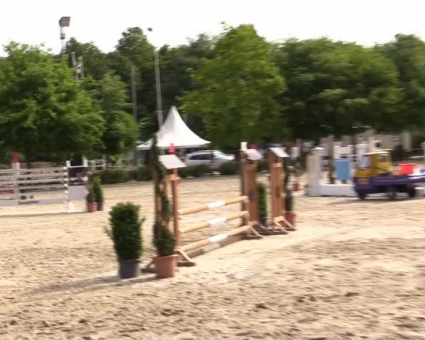 Pfingstturnier Bochum-Nord 2015