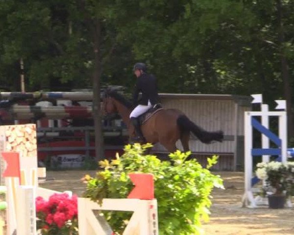 Iserlohn-Kalthof 2015
