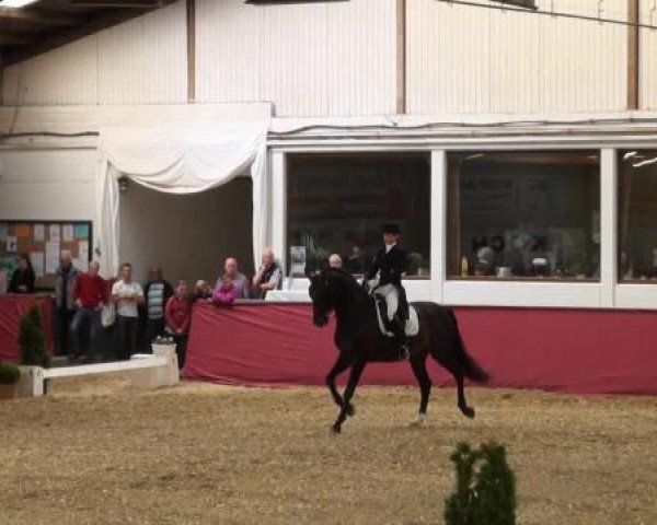 Pfingst - Dressur und Springturnier Borken 2015