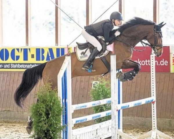 Springpferd Carado Chuck L (Westfale, 2009, von Canstakko)
