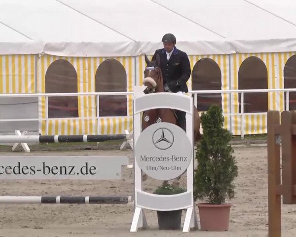 Großes Langenauer Reitturnier 2015