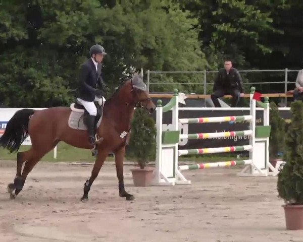 Großes Langenauer Reitturnier 2015