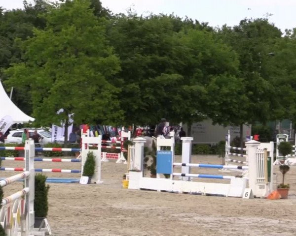 Pfingstturnier Bochum-Nord 2015