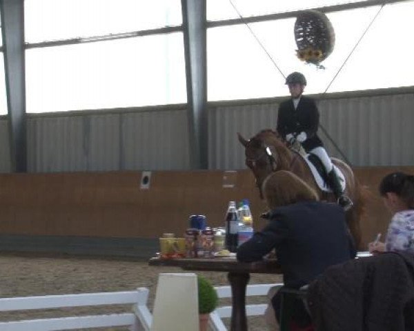 Frechen-Grefrath 2015