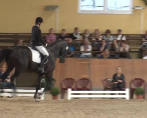 Frechen-Grefrath 2015